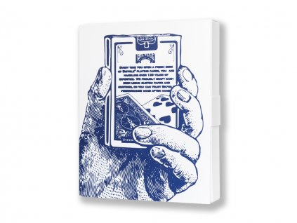 Permanent Record card trick by Ben Seidman and Vanishing Inc.