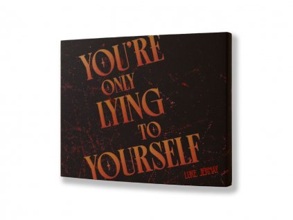 You're Only Lying To Yourself card magic project by Luke Jermay and Vanishing Inc.