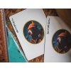 Kodiak Playing Cards by Dan & Dave
