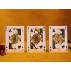 The Exploration Playing Cards by Deck Idea