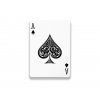 White Lions Tour Edition Playing Cards by David Blaine
