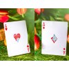 Butterfly Playing Cards Spring Edition Marked