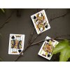 Mantis Playing Cards by Sean Devine and Manel