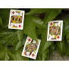 Mantis Playing Cards by Sean Devine and Manel