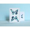 Butterfly Try-All V2 Playing Cards