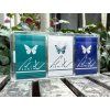 Butterfly Try-All V2 Playing Cards Collector Set