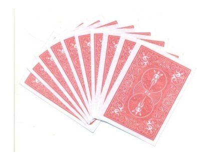Flash Cards by Panda Magic