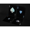Sběratelské karty Butterfly Playing Cards Holo Edition