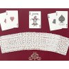 Bicycle Invoked Side Stripper Playing Cards