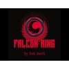 Falcon Ring by Josh Burch