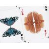 MOTHS (Striped Edition) Playing Cards by Small Wonder