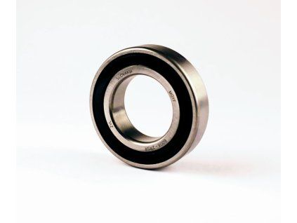 6006 2RS
