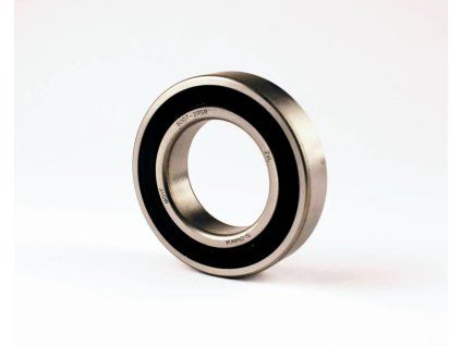 6007 2RS