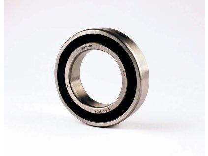 6008 2RS