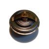 Termostat Liaz 83°C