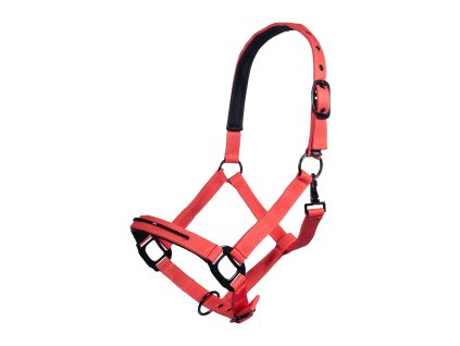 HKM Savona  kötőfék