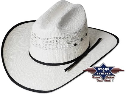 81GLSb0rm8L. AC SX679