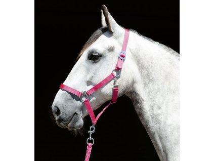 HKM Stars Softice kötőfék