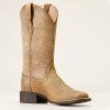 10019906 medial warm