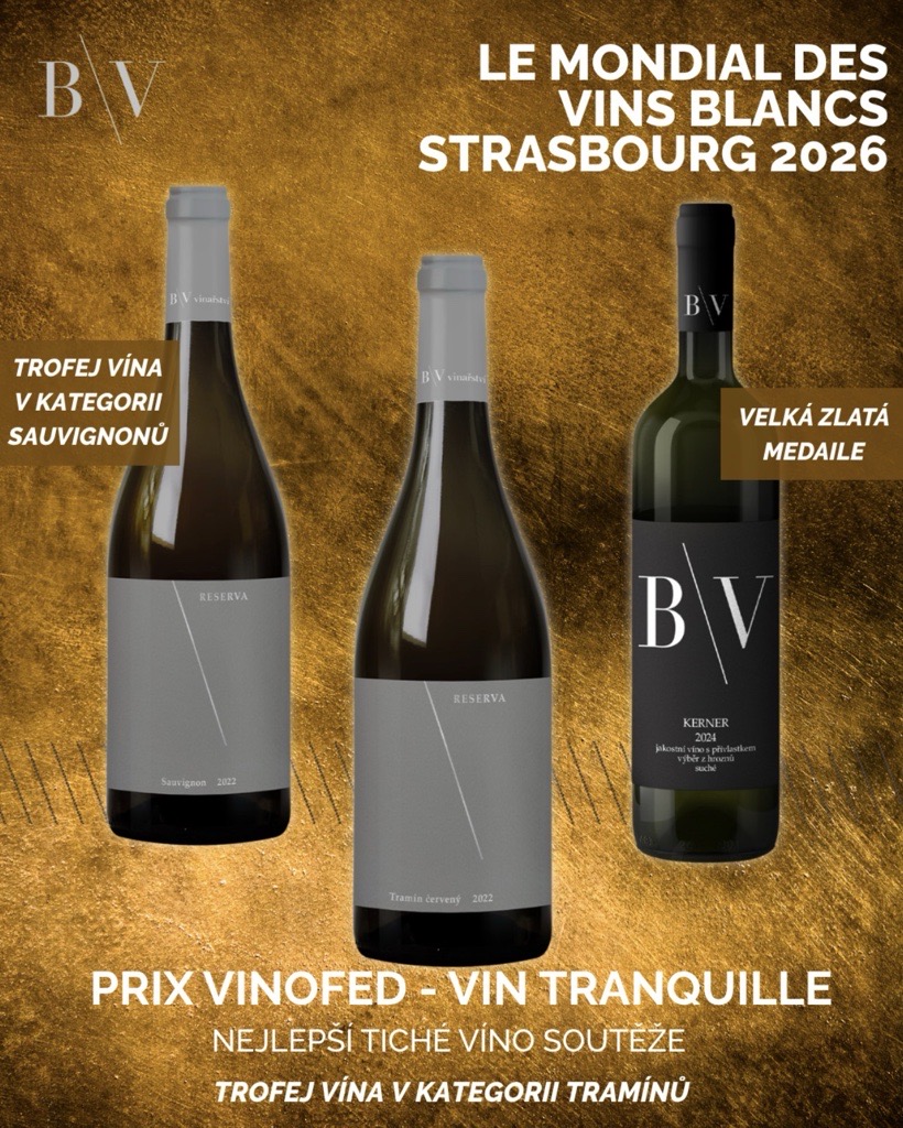 Máme šampiona. A už druhý rok po sobě.