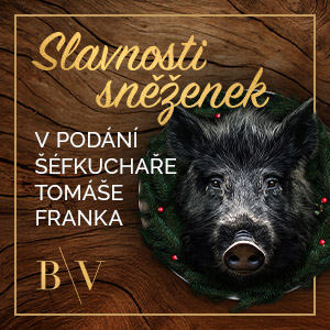 SLAVNOSTI SNĚŽENEK