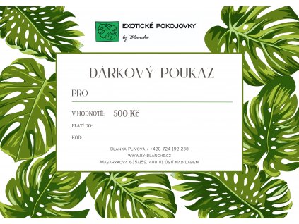 Dárkový poukaz 500