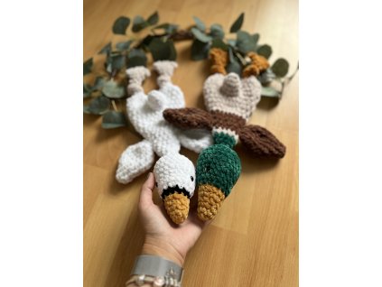 9ED979B6 16EE 4DA6 8E59 0C36DC682E5B