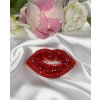 Vyšívaná brož - LIPS