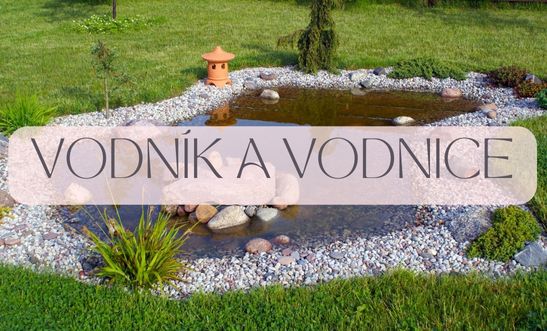 Vodník a vodnice