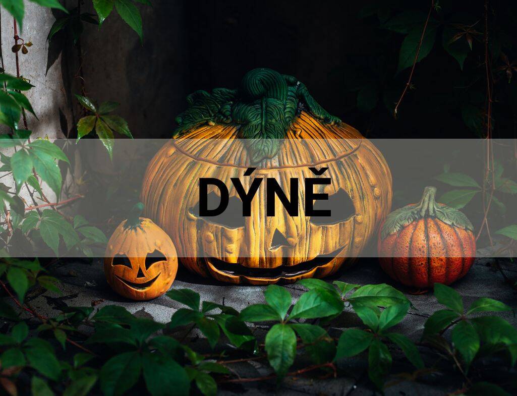 Dýně podzimní dekorace