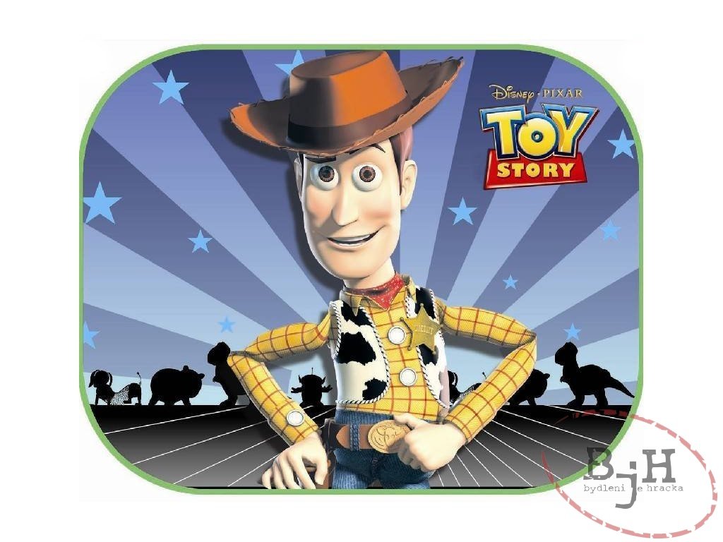 Slunenčí clona Toy story III - 2 kusy
