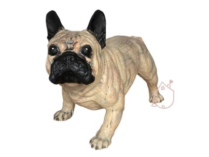 Francouzský buldoček (8)