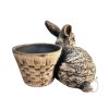 Květináč s králíkem Lapinem (3)