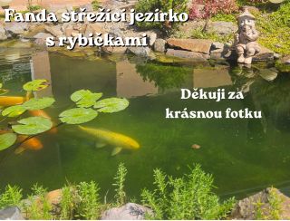 Fanda na své stráži u jezírka. A já mám zase radost – fotky od zákazníků mě vždy velmi potěší. Děkuji moc 💕