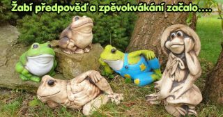 Žabí předpověď se ozývá ze všech koutů zahrady. Zpěvokvákání začalo... tak snad dorazí i pár kapek 🌧🌤🐸