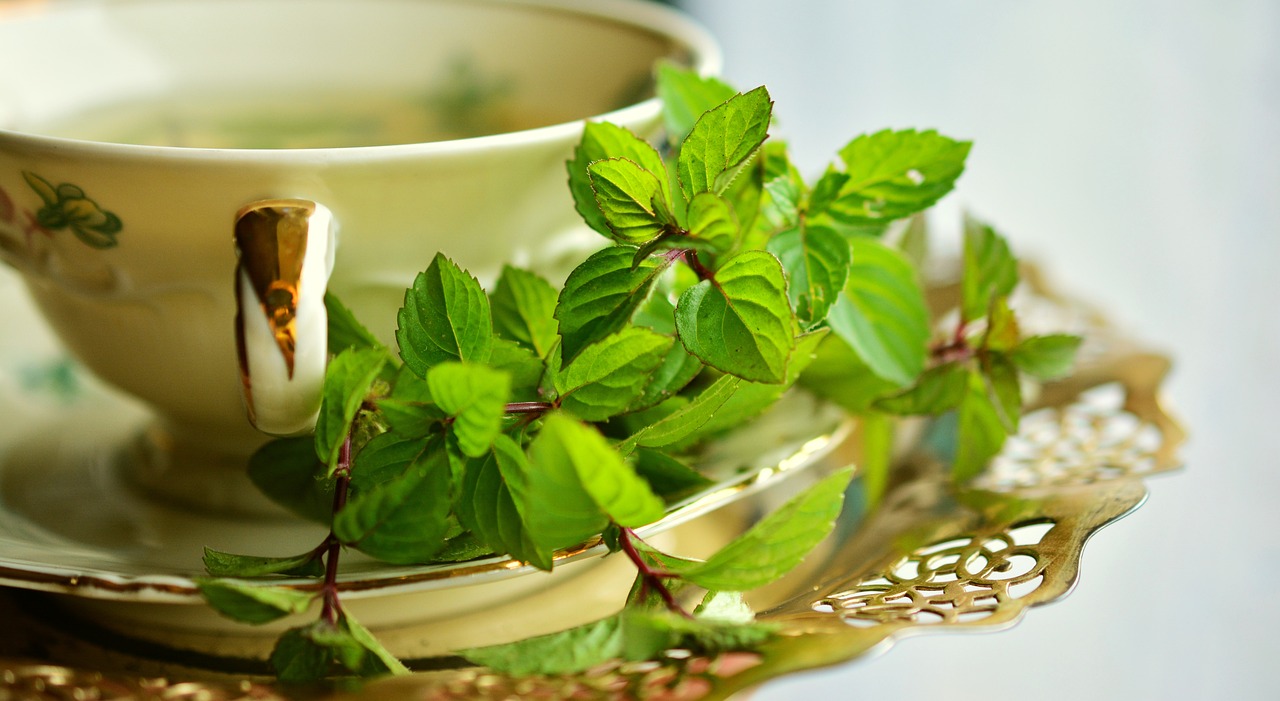 peppermint-2816012_1280