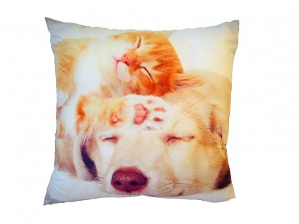 Fotopolštářek Spící kočka se psem 40x40 cm
