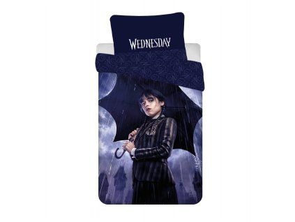 wednesday rain