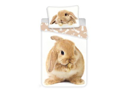 bunnybrown 31