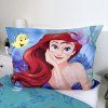 ariel 03 2