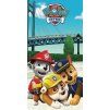 pawpatrol0601
