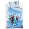 prave pratelstvi frozen