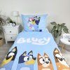 povleceni bluey dadka 5