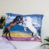 horse meadow 3