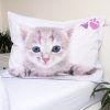 kitten color 3