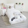 kitten white 1