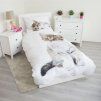 kitten white 2