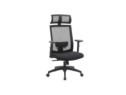 ergonomischer %20Computer stuhl OBN55BK 1