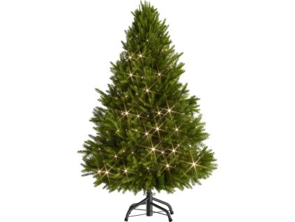 02 107721 on fs b2b high