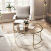 Round Glass Coffee Table LGT21G 3